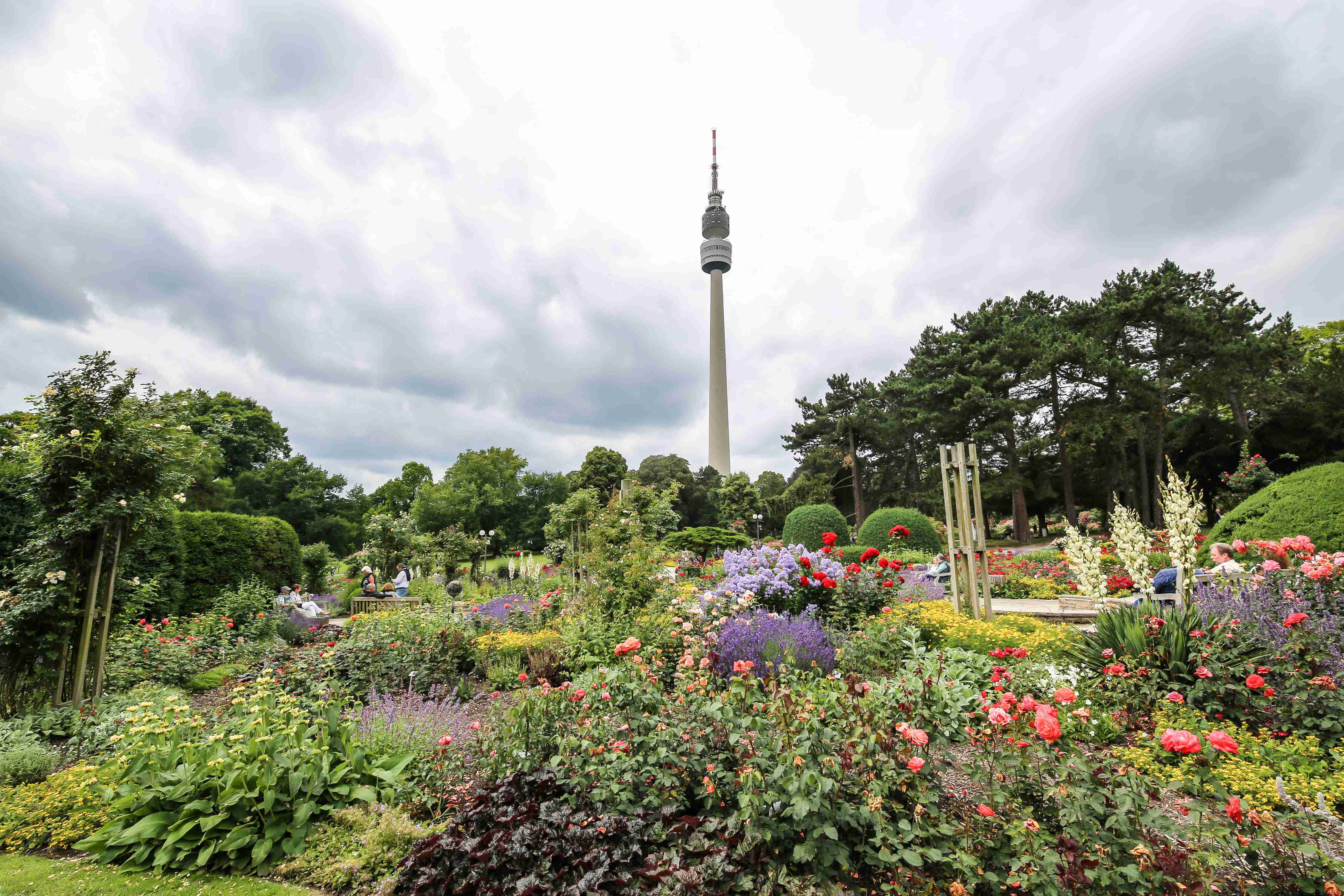 🌳 베스트팔렌파크 도르트문트